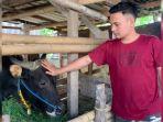sapi_kurban_prabowo_mataram_0285101581.jpg