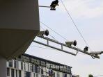 tilang-elektronik.jpg
