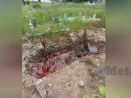 viral-makam-penuh-darah-polisi-lakukan-penyelidikan.jpg