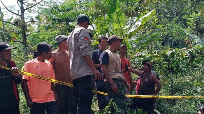 Probolinggo Berdarah, Hujaman Celurit dari Orang Tak Dikenal Bikin Pria ini Tumbang, ini Kondisinya