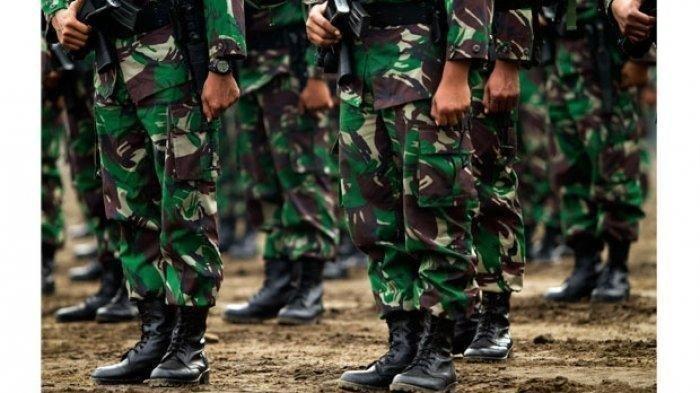 ILUSTRASI TNI - Kepincut janji manis, orang tua rela rogoh kocek Rp 291 juta demi anaknya menjadi perwira TNI AD. Namun bukan senyum manis yang didapat, melainkan nasib pahit uangnya ditilap oknum ASN.