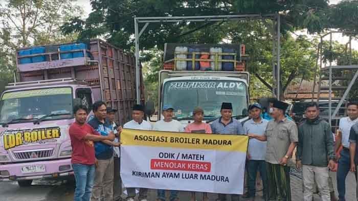 Peternak Ayam Pedaging Se-Madura Tolak Pengiriman dari Luar, Ribuan Ayam Putar Balik di Suramadu