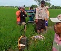 Petani Malang Tergeletak di Sawah Milik Sendiri, Diduga Keracunan Bau Obat Semprot Hama