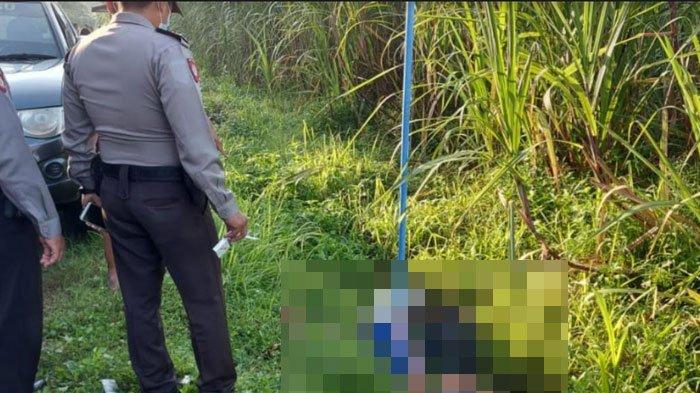 ODGJ Tewas Kesetrum Saat Goyangkan Tiang Listrik, Dua Orang yang Menolong Juga Tewas Seketika