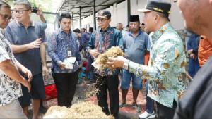 Bupati-dan-Wakil-Bupati-Pamekasan-mengecek-harga-dan-kualitas-tembakau-di-gudang.jpg