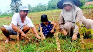 Guru-SMPN-1-Tanjung-Bumi-Musyarrofah-membantu-suami-bersama-putrinya-di-kebun.jpg