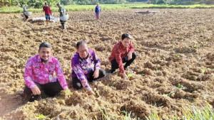 KESEJAHTERAAN-Kepala-DKPP-Sumenep-Chainur-Rasyid-saat-pantau-bibit-tembaka.jpg