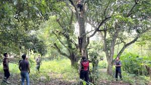 ODGJ-panjat-pohon-saat-hendak-diamankan-polisi.jpg