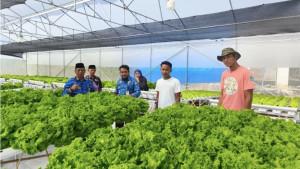 PENINJAUAN-Kepala-DKPP-Sumenep-Chainur-Rasyid-didampingi-Kepala-Jabatan.jpg