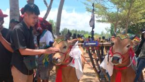 Perlombaan-karapan-sapi-di-Lapangan-Bhurunan-Desa-Murtajih-Pamekasan.jpg