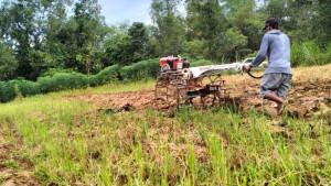 STOK-MELIMPAH-Petani-di-Kabupaten-Sampang-Madura-saat-membajak-sawah.jpg