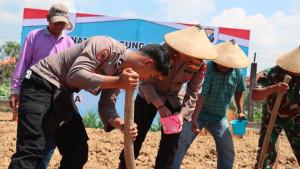 Wakapolres-Pamekasan-Kompol-Hendry-Soelistiawan-menanam-jagung.jpg