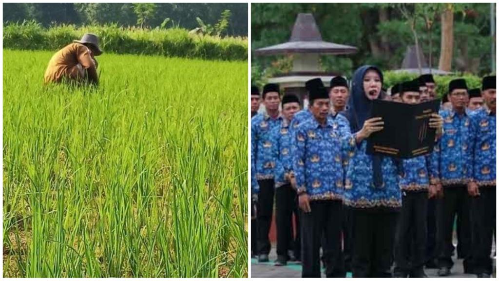 Madura Terpopuler: Jatah Pupuk Petani di Sampang Ditambah hingga Sebaran Formasi PPPK di Pamekasan