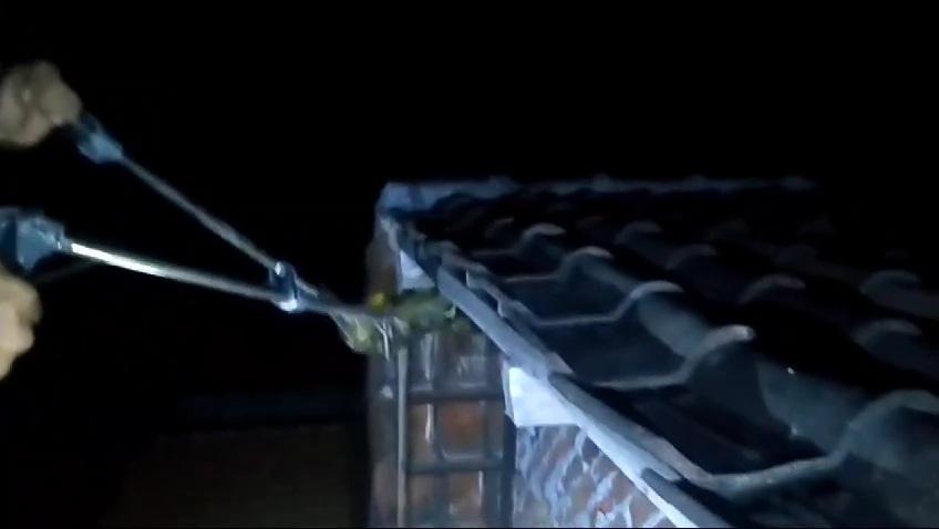 Asik Nonton Televisi, Warga Gresik Dengar Suara Misterius dari Atap, Petugas Datang Jadi Penyelamat