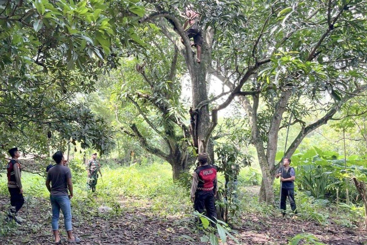 ODGJ-panjat-pohon-saat-hendak-diamankan-polisi.jpg