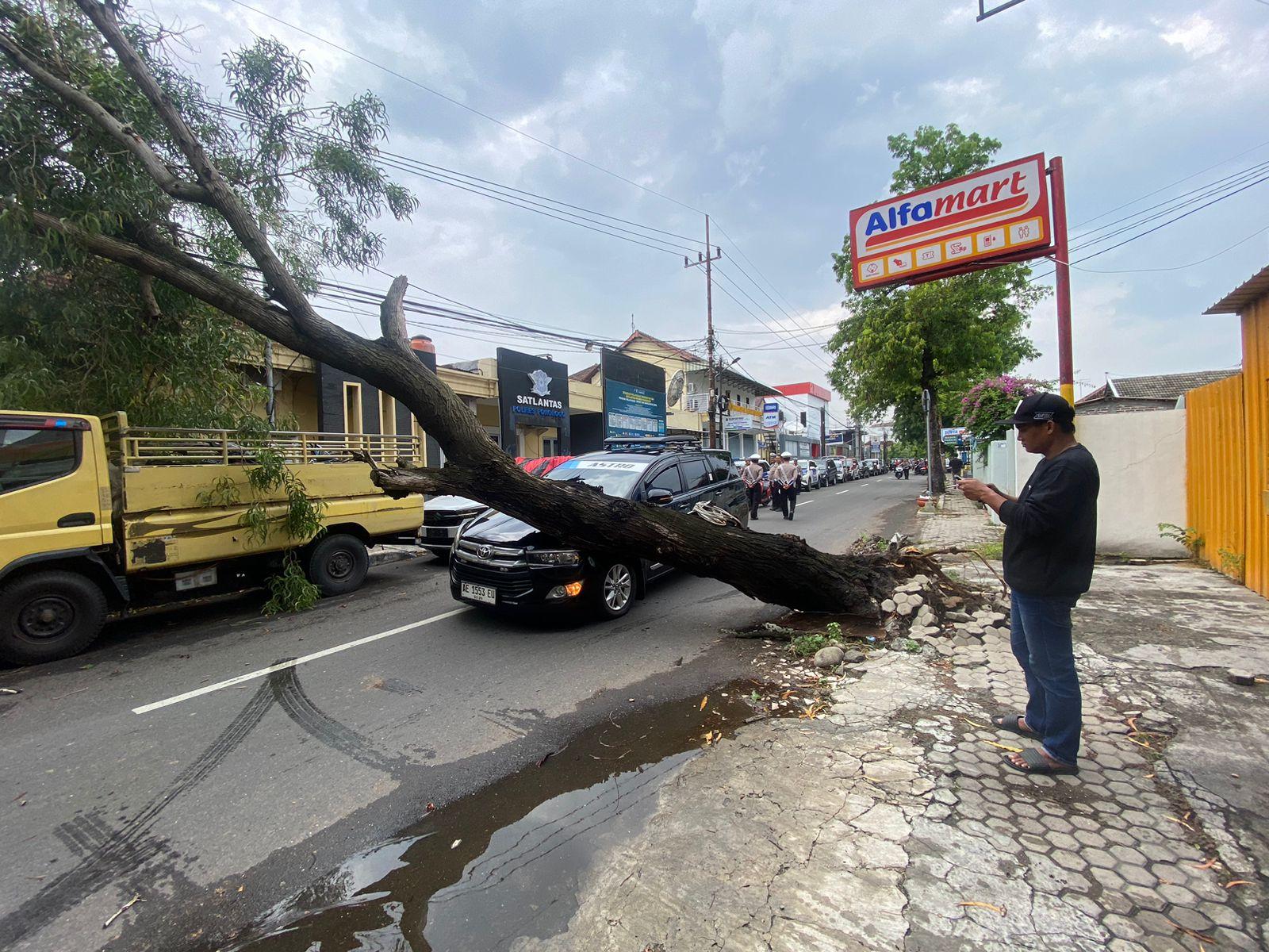 Pohon-tumbang-di-depan-Polres-Ponorogo-timpa-mobil-melintas-Tidak-ada.jpg