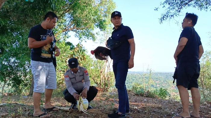 Sejumlah-Personel-Polsek-Sokobanah-Sampang-mengamankan-alat-bukti-judi-sabung-ayam.jpg