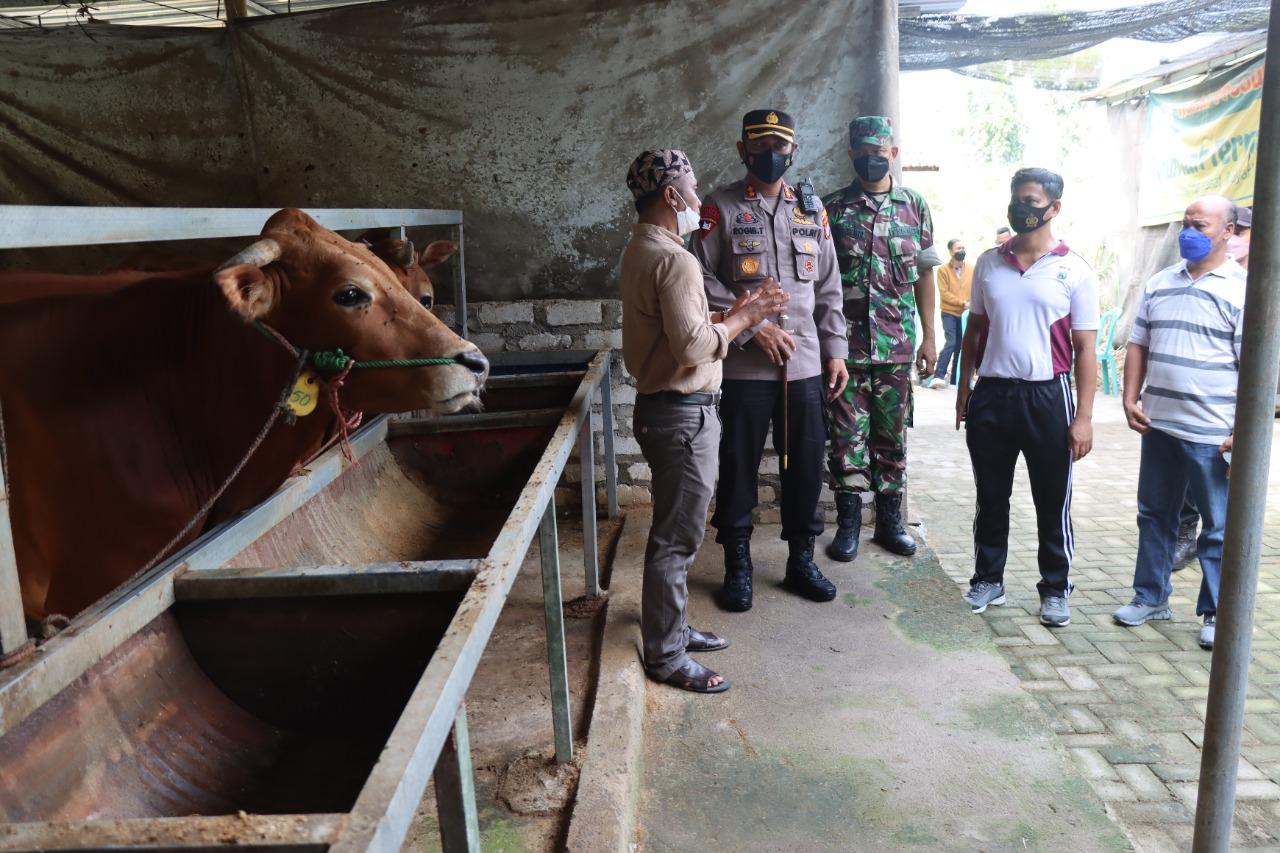 Cegah PMK, Bupati Pamekasan Pastikan Tak Menerima Pengiriman Hewan Ternak Sapi dari Luar Madura