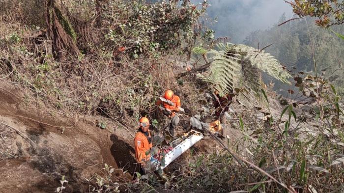 Tim-SAR-gabungan-mengevakuasi-pendaki-ilegal-yang-terperosok-ke-jurang-Gunung-Semeru1.jpg