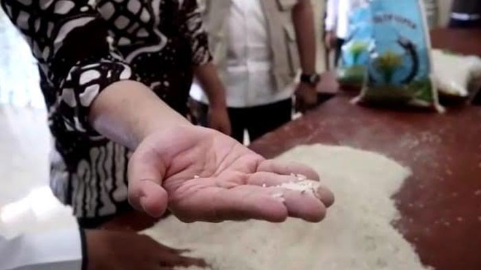 Pemprov Jatim Pastikan Ganti Beras Bantuan Warga Bangkalan yang Berkutu dengan Beras Baru