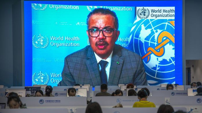 Cari Asal Mula Virus Corona, Tim Ahli WHO Dapat Kejadian Tak Terduga saat Ingin Datang ke China