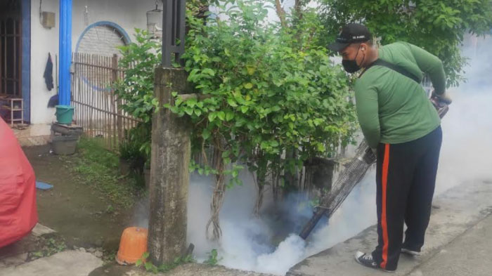 Kasus Demam Berdarah di Kabupaten Mojokerto Melonjak, 1 Anak Meninggal dan 7 Orang Lainnya Dirawat