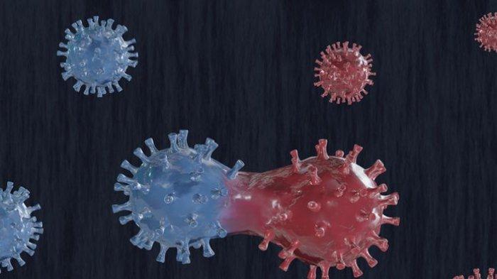 ilustrasi-mutasi-virus-corona.jpg