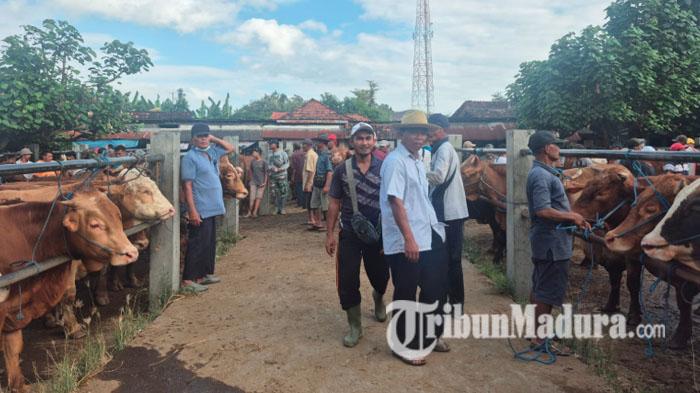 ilustrasi-sapi-ilustrasiPasar-Hewan-Ponorogo-di-Jalan-Raya-Ponorogo-Jetis-Kecamatan-Jetis.jpg