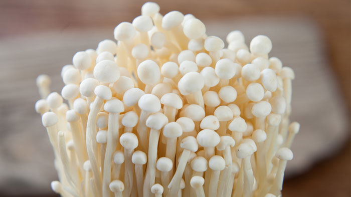 jamur-enoki1.jpg