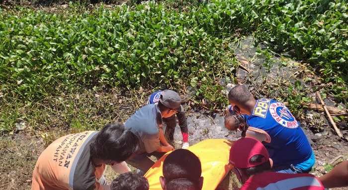 Jenazah Pria Ditemukan dalam Tumpukan Eceng Gondok Sungai Desa Kwedenkembar Kabupaten Mojokerto