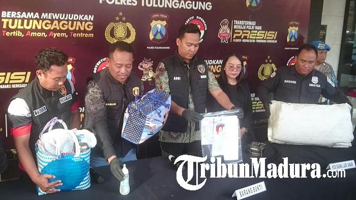 Tribun