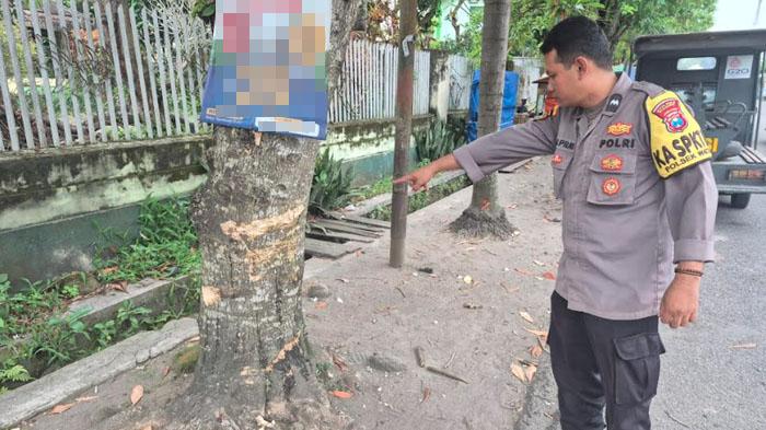 kecelakaan-maut-di-Kediri-motor-tabrak-pohon-sebabkan-satu-orang-tewas.jpg