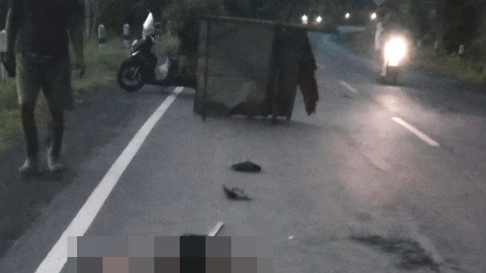 Kecelakaan Maut di Lumajang, Kakek 60 Tahun Tewas Tergeletak di Jalan, Diduga Ditabrak Truk