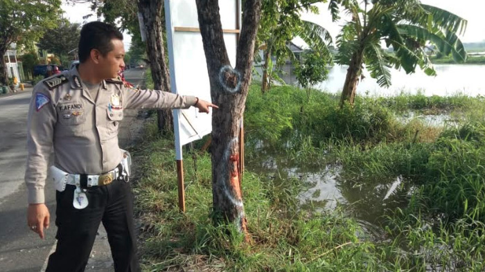 kecelakaan-tunggal-pengendara-motor-asal-menganti-gresik-tabrak-pohon.jpg