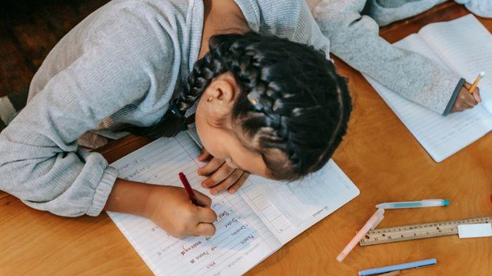 Kepsek SD di Bangkalan Berani Kritisi Pembelajaran Mendalam, Sebut Guru  Terjebak Administratif