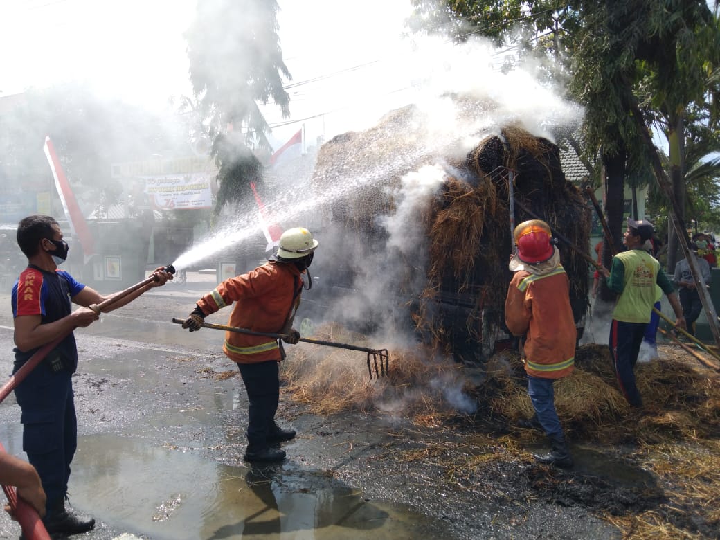 Mobil Pick Up Angkut Jerami dan Lahan Jati Hangus Terbakar di Lamongan, Ternyata Ini Penyebabnya