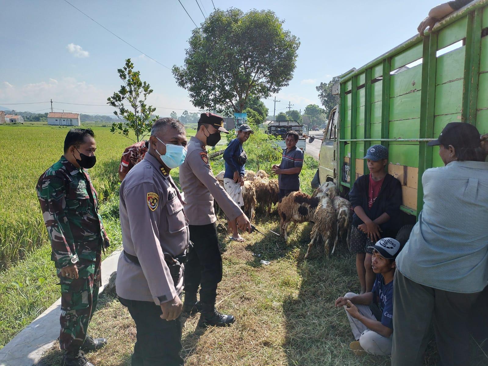 Pasar Hewan Ditutup, Pedagang Hewan Ternak Nekat Jualan di Jalanan Lumajang, Polisi Beri Sosialisasi
