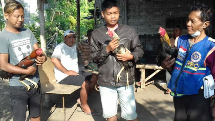 Aksinya Digagalkan Warga, Maling Ayam Jago ini Kabur Tinggalkan Motornya, Kendaraannya Dibakar Massa