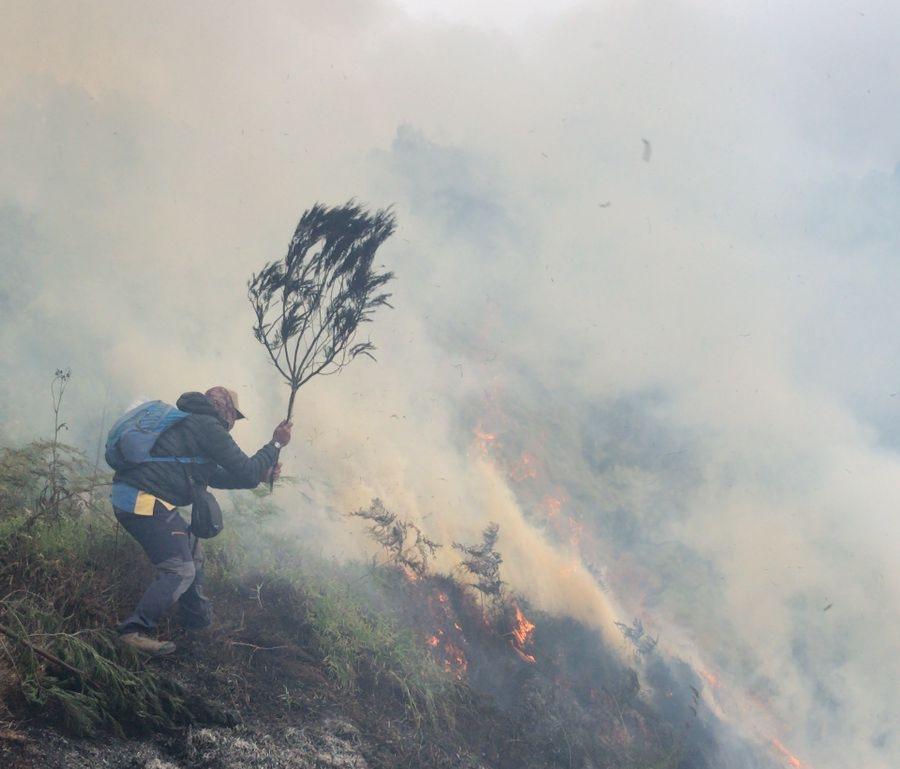 ODGJ Bikin Perapian hingga Sebabkan Kebakaran di Kawasan Wisata TNBTS Bromo