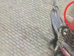 AKSI-CURANMOR-Tangkapan-layar-video-CCTV-merekam-dua-pria-misterius-bersarun.jpg