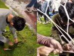 DITANGKAP-Tangkapan-video-viral-Bobotoh-yang-merusak-fasilitas-Stadion-Gelora.jpg