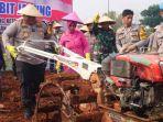 Kapolres-Pamekasan-AKBP-Jazuli-Dani-Iriawan-ikut-aksi-penanaman-jagung.jpg