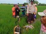 Petani-ditembak-meninggal-di-sawah-turut-Desa-Sumberagung.jpg