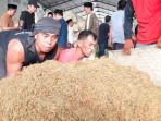 Petani Tembakau Pamekasan Terpukul, Harga Anjlok Jadi Rp 30 Ribu 