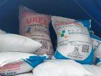 Pupuk Bersubsidi di Sumenep Baru Terserap Sebagian Kecil, Petani Tunggu Musim Hujan