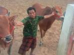 Jelang Karapan Sapi Piala Bupati Sampang, Tim Bojoku Nakal Siapkan 3 Pasang Sapi Terbaik