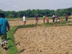 Sejumlah-warga-menempuh-jarak-sekitar-1-kilometer-saat-ingin-melaksanakan-rasol.jpg