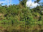 Sungai-di-hutan-Amazon.jpg