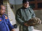 Keganasan Tawon Vespa Resahkan Warga Perkampungan Pangeranan Bangkalan, Damkar Turun Tangan
