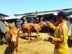 WABAH-PMK-Kondisi-sapi-di-Pasar-Hewan-Desa-Aeng-Sareh-KecamatanKabupaten.jpg